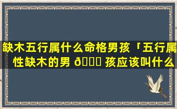 缺木五行属什么命格男孩「五行属性缺木的男 🐅 孩应该叫什么 🐴 」